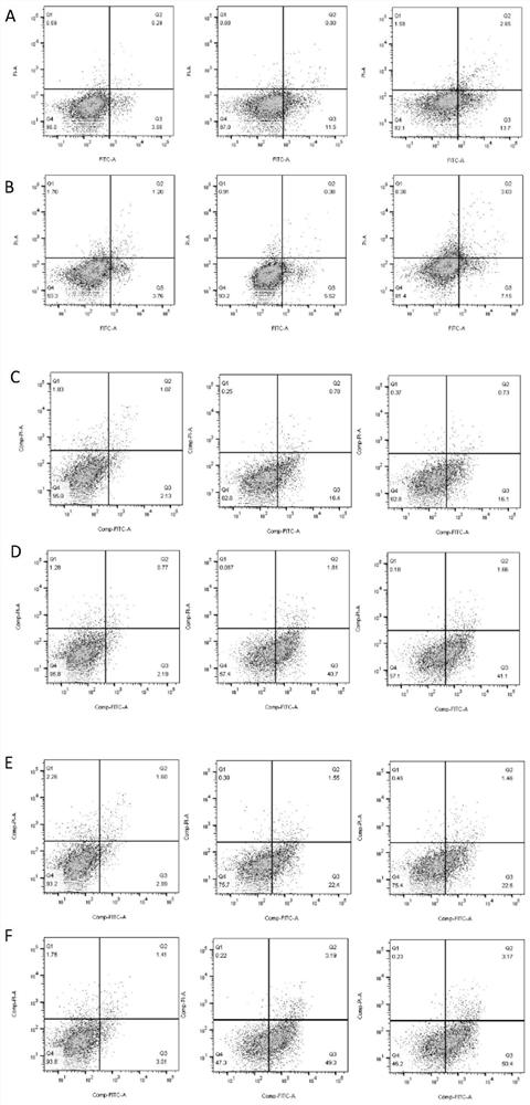 Nuclear localization signal sequences of ARID1B and application of nuclear localization signal sequences