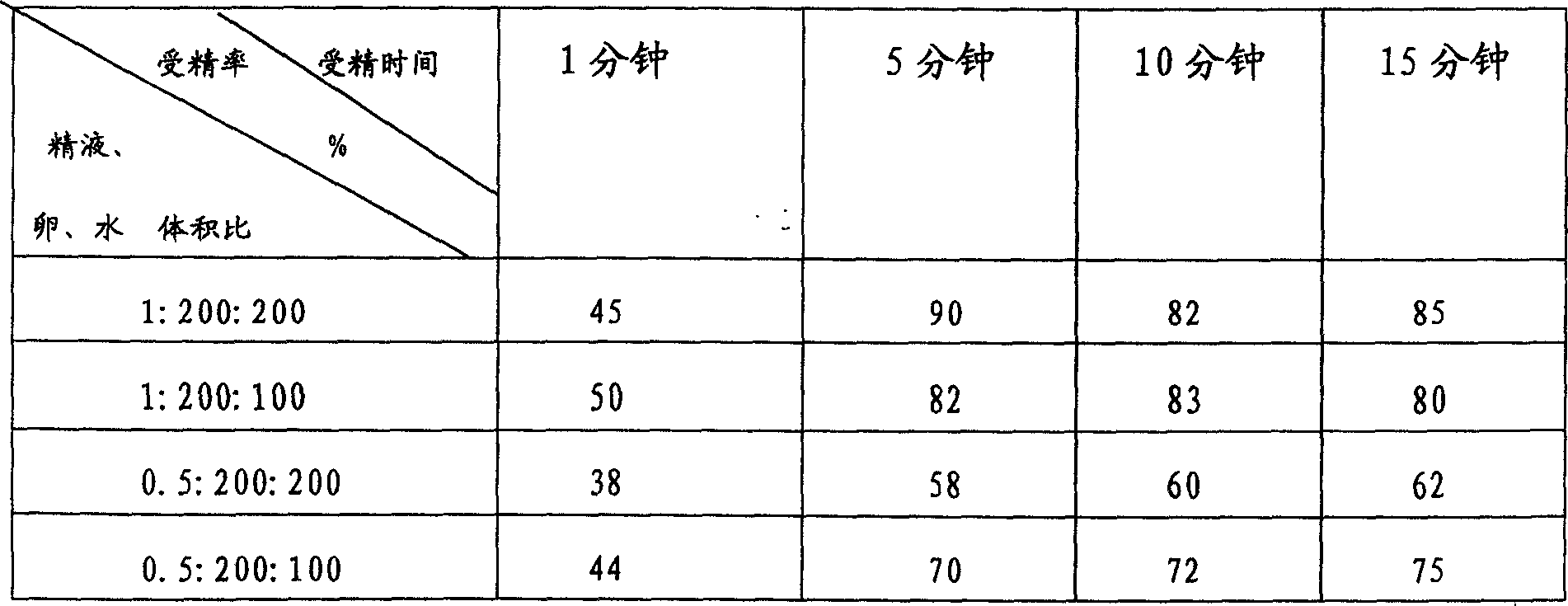 Method for obtaining high quality fertilized egg of scophthatmus maximus