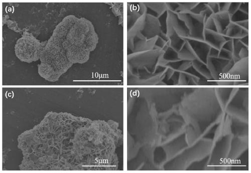 Preparation method of vanadium-doped nickel phosphide composite nitrogen-sulfur double-doped reduced graphene oxide electro-catalytic material