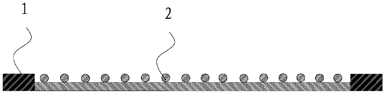 Electrodialysis separator and bipolar membrane electrodialysis device for producing organic acids