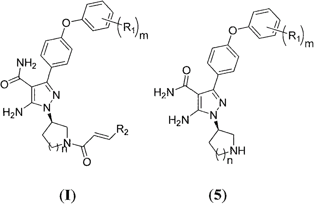 Preparation method for preparing Bruton's tyrosine kinase (BTK) inhibitor
