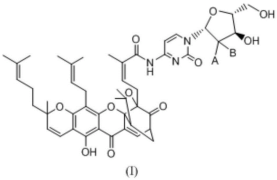 A kind of gambogic acid amide derivative and its preparation method and application