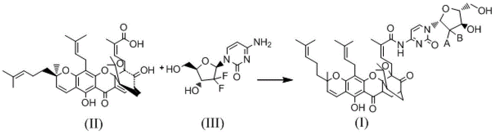 A kind of gambogic acid amide derivative and its preparation method and application