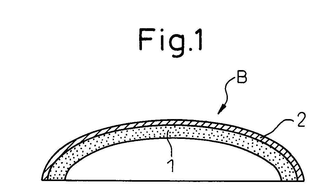 Thermoplastic resin casing and method for fabricating the same