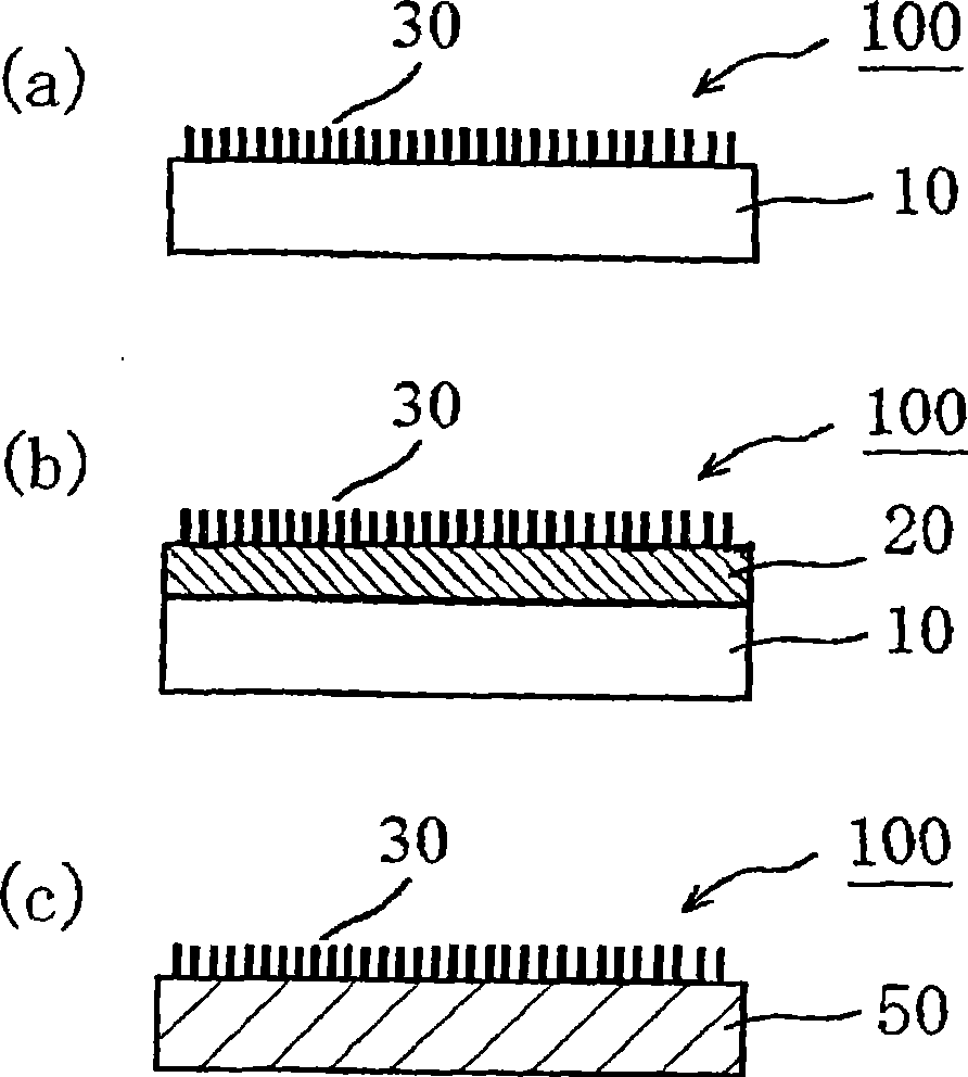 Cleaning member, delivery member with cleaning function, and method of cleaning substrate processing apparatus