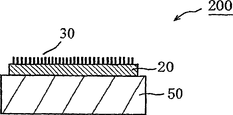 Cleaning member, delivery member with cleaning function, and method of cleaning substrate processing apparatus