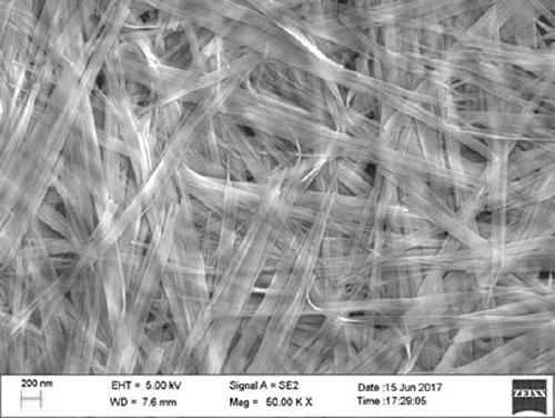 Nickel-cobalt composite hydroxide ultralong nanobelt, nickel-cobalt composite oxide ultralong nanobelt and preparation method thereof