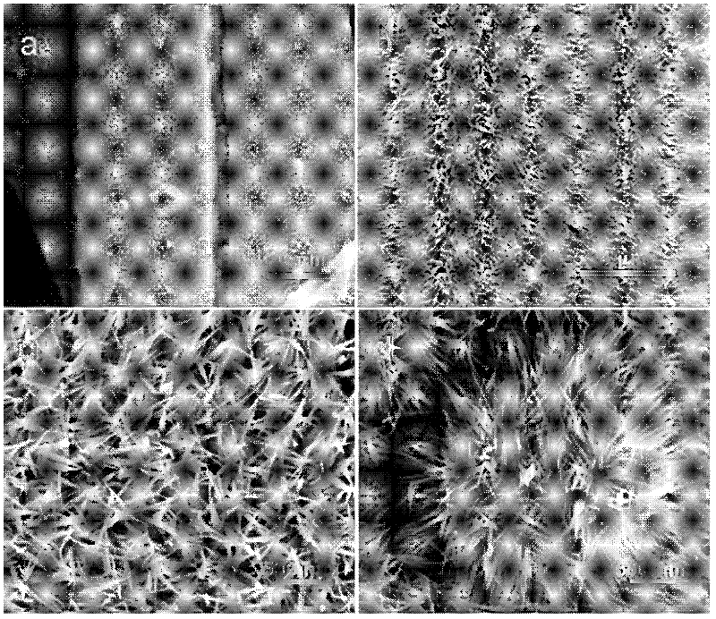 Method for preparing nano-structured Zn2SnO4 on stainless steel wires