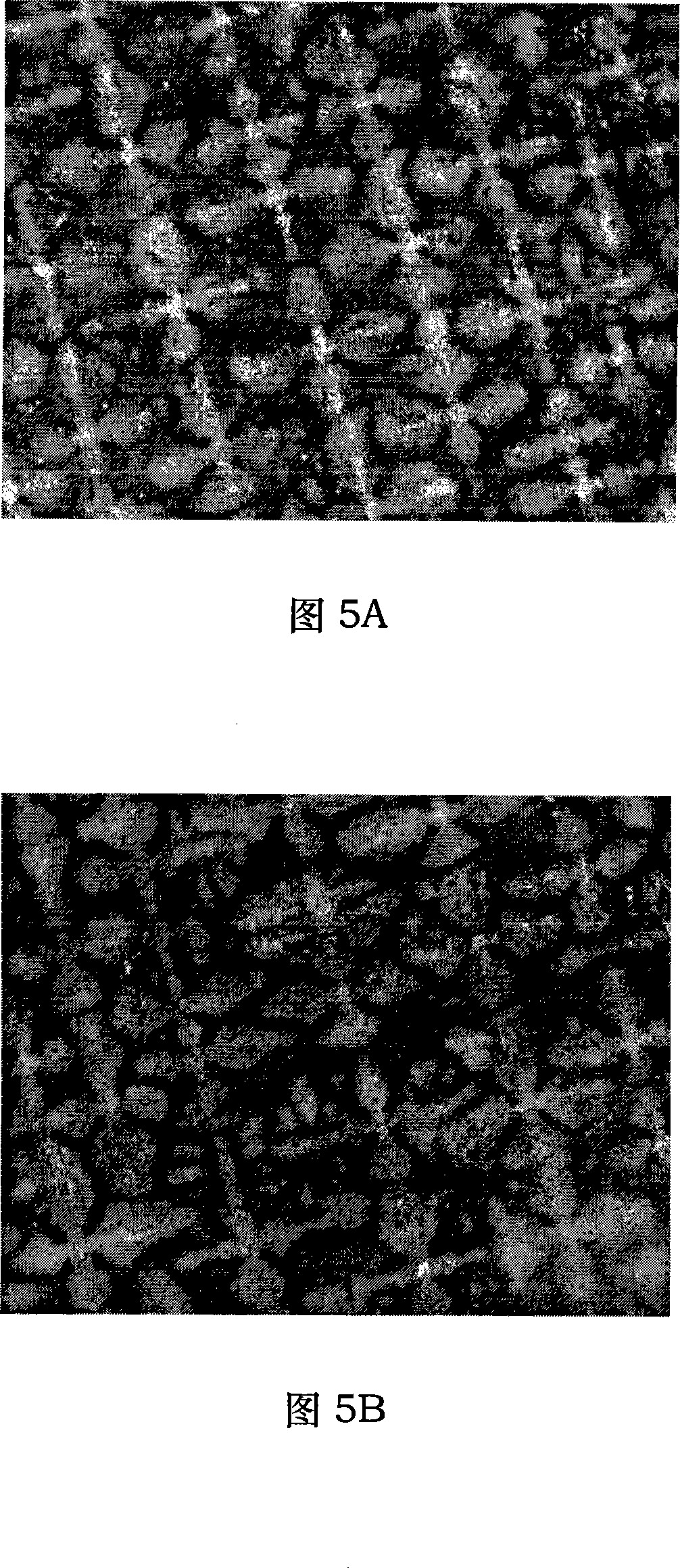Method for preparing Co based single-crystal refractory alloy by employing combination of seed crystal method and screw selecting method