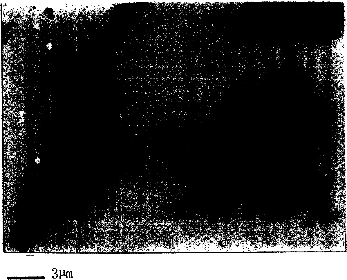 Assemble preparation method of DNA guided nano granule vertical type wire