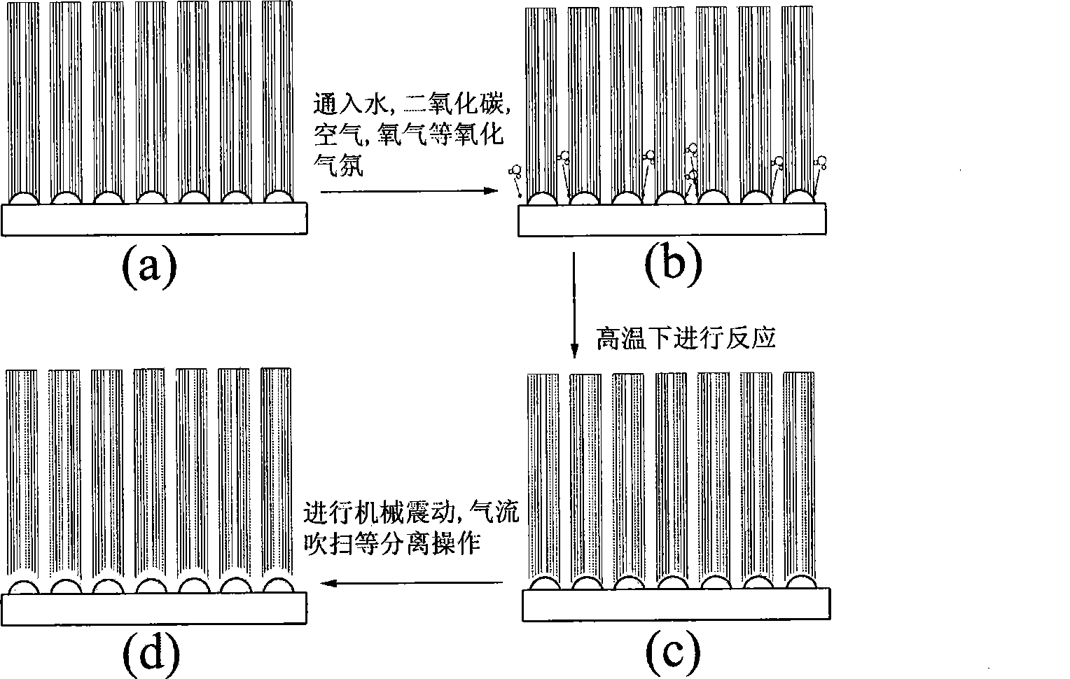 Oxidation treatment based method for separating carbon nano-tube array and substrate