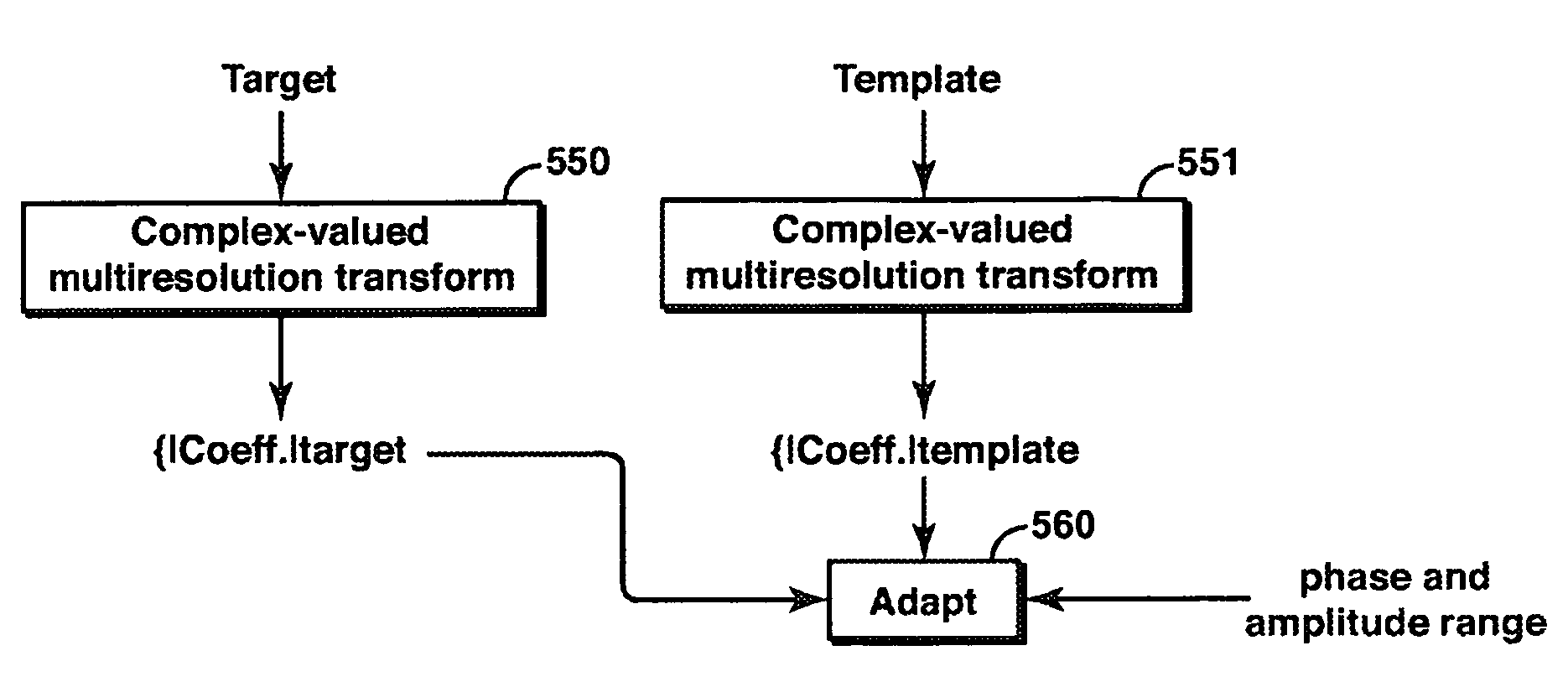 Method to adapt a template dataset to a target dataset by using curvelet representations