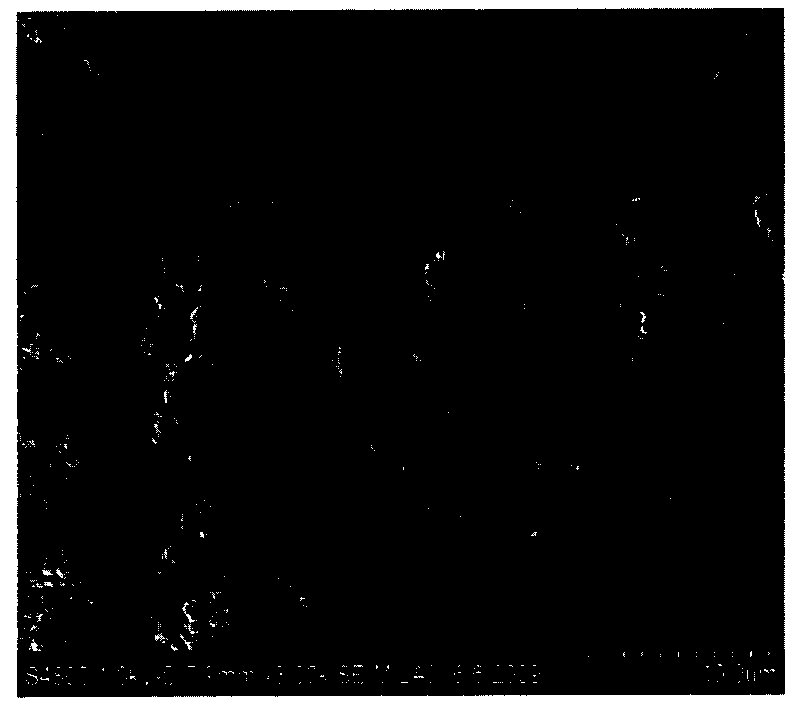 Preparation method of In-situ polymerization microcapsule