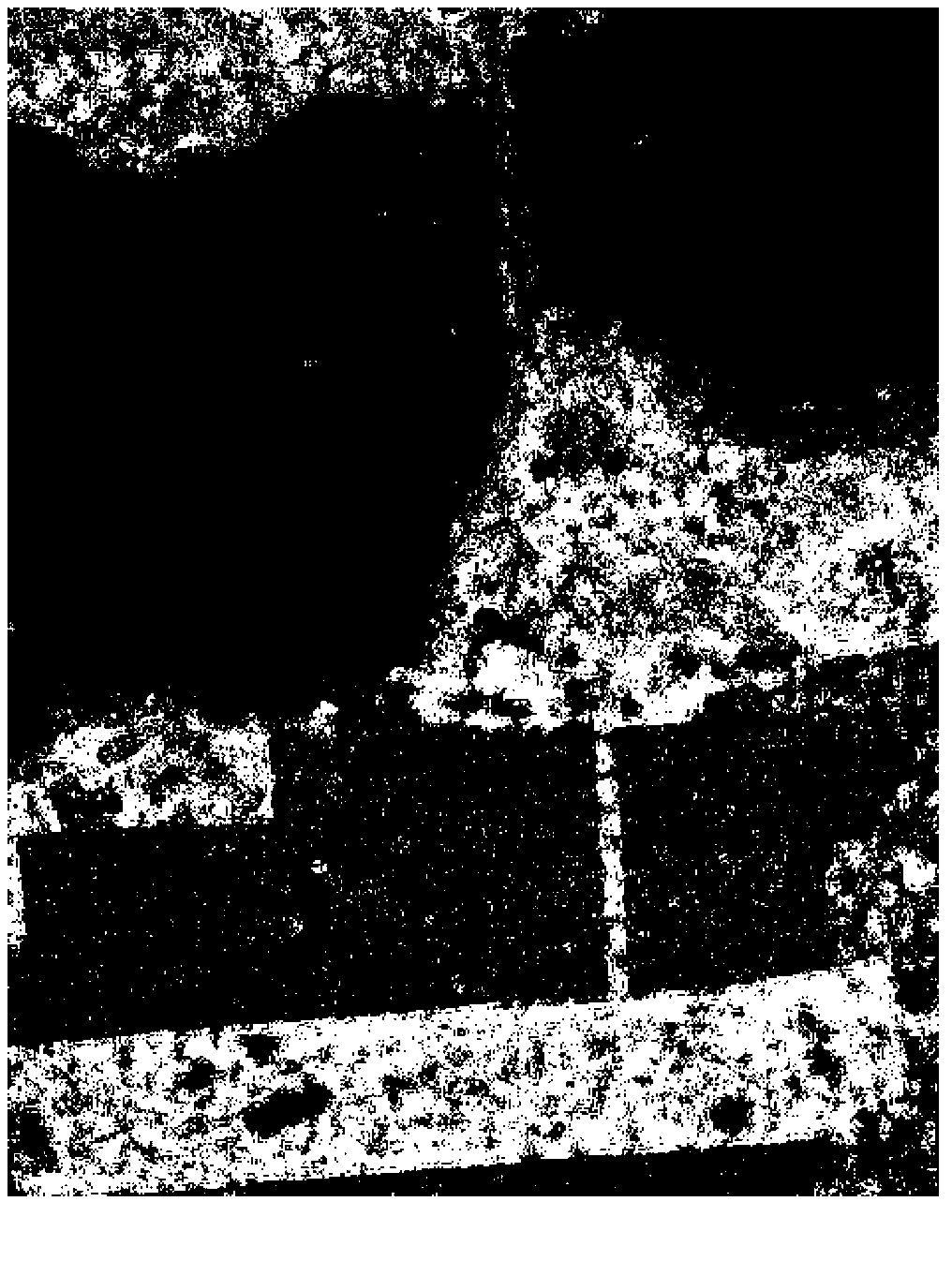 Polarized SAT (synthetic aperture radar) image classification method based on improved affinity propagation clustering