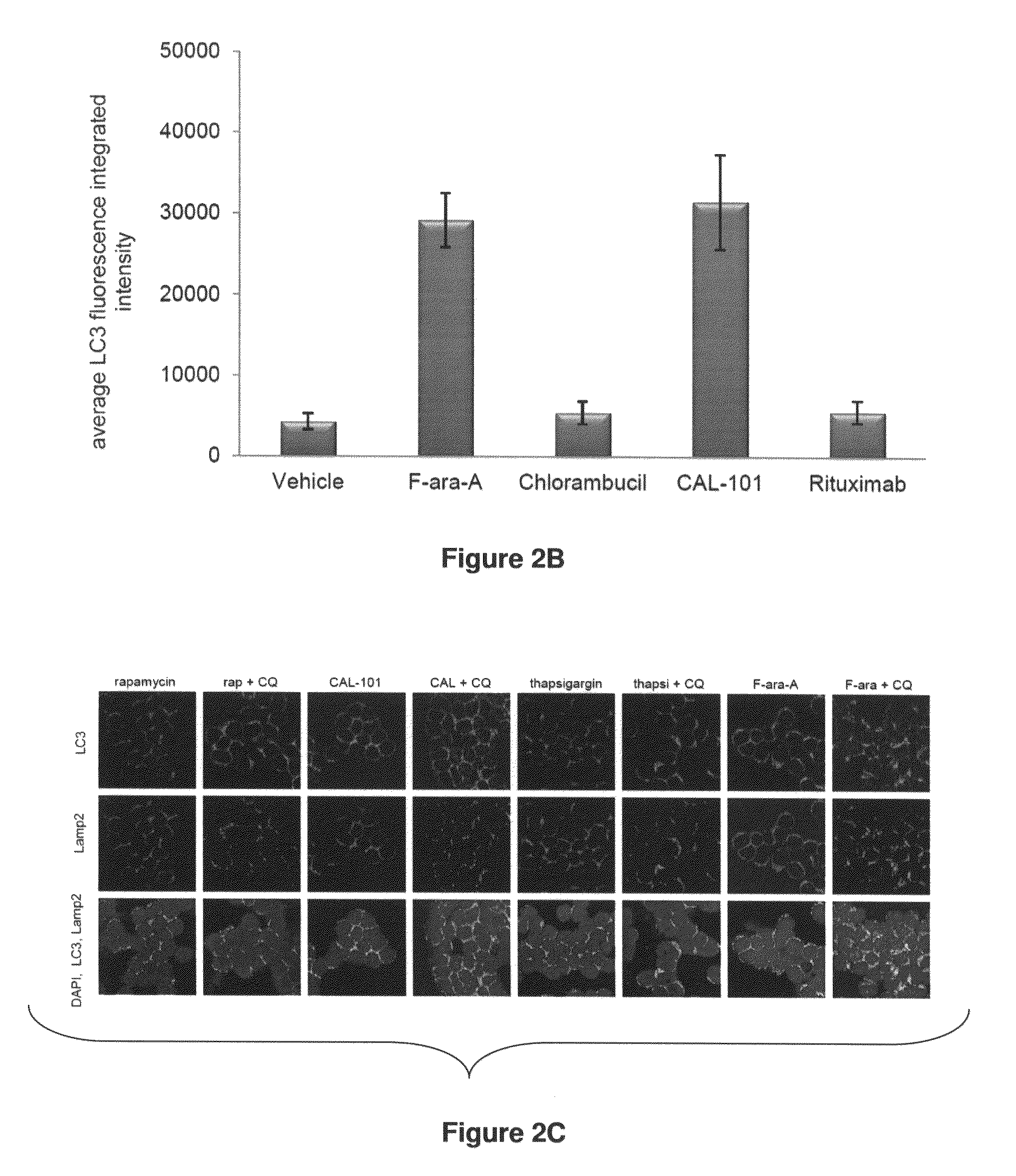 Compositions and methods for increasing drug efficacy in cancer