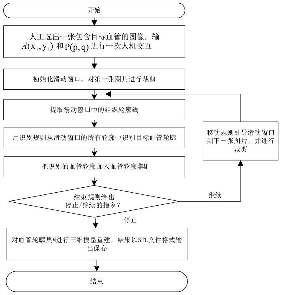 Automatic reconstruction method for blood vessel three-dimensional model