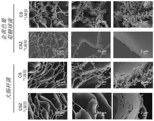 Double-layer composite aerogel for inhibiting biofilm formation, preparation method and application thereof