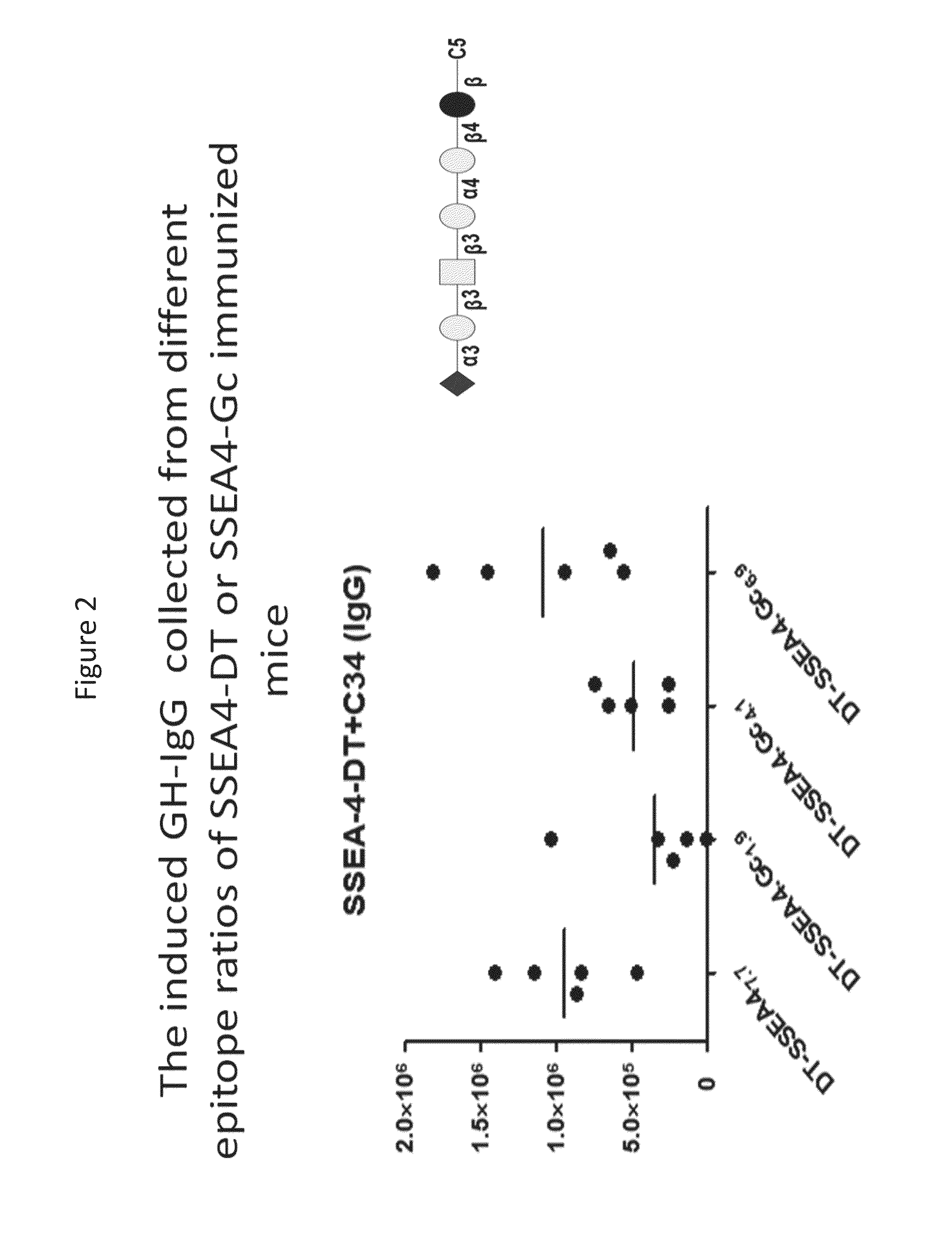 Novel glycan conjugates and methods of use thereof