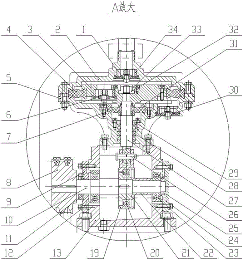 An external diaphragm type strong self-priming device