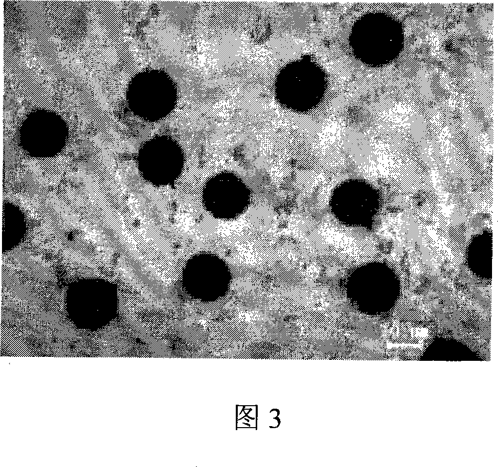 Fibre reinforced intermetallic compound composite material as well as preparation and forming method thereof