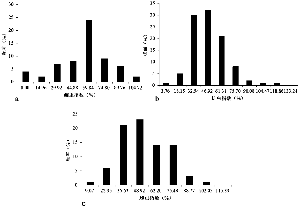 Screening method of molecular marker linked with soybean cyst nematode resistance locus, molecular marker, primers and application