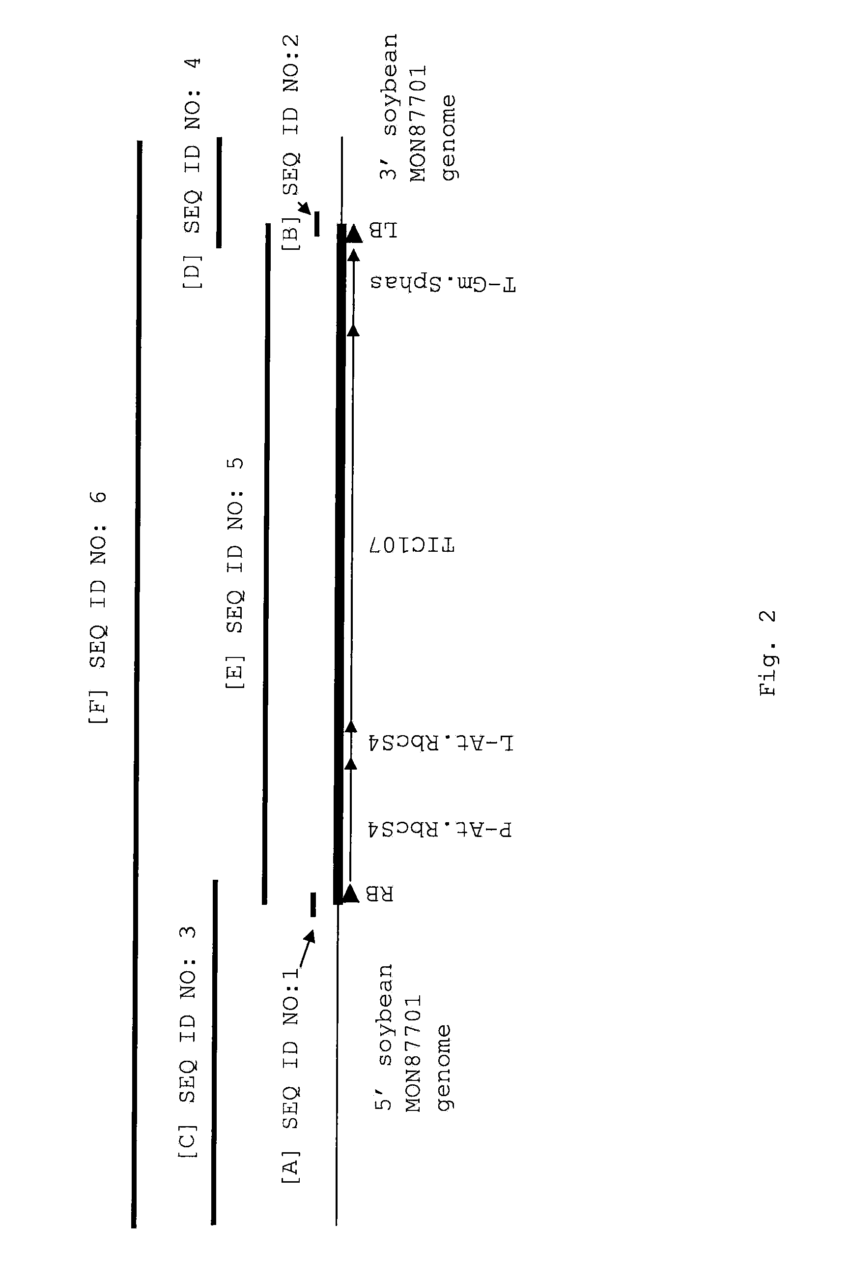 Soybean Plant And Seed Corresponding To Transgenic Event MON87701 And Methods For Detection Thereof