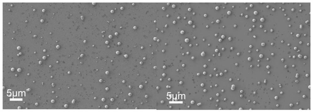 PUF device based on microcavity laser