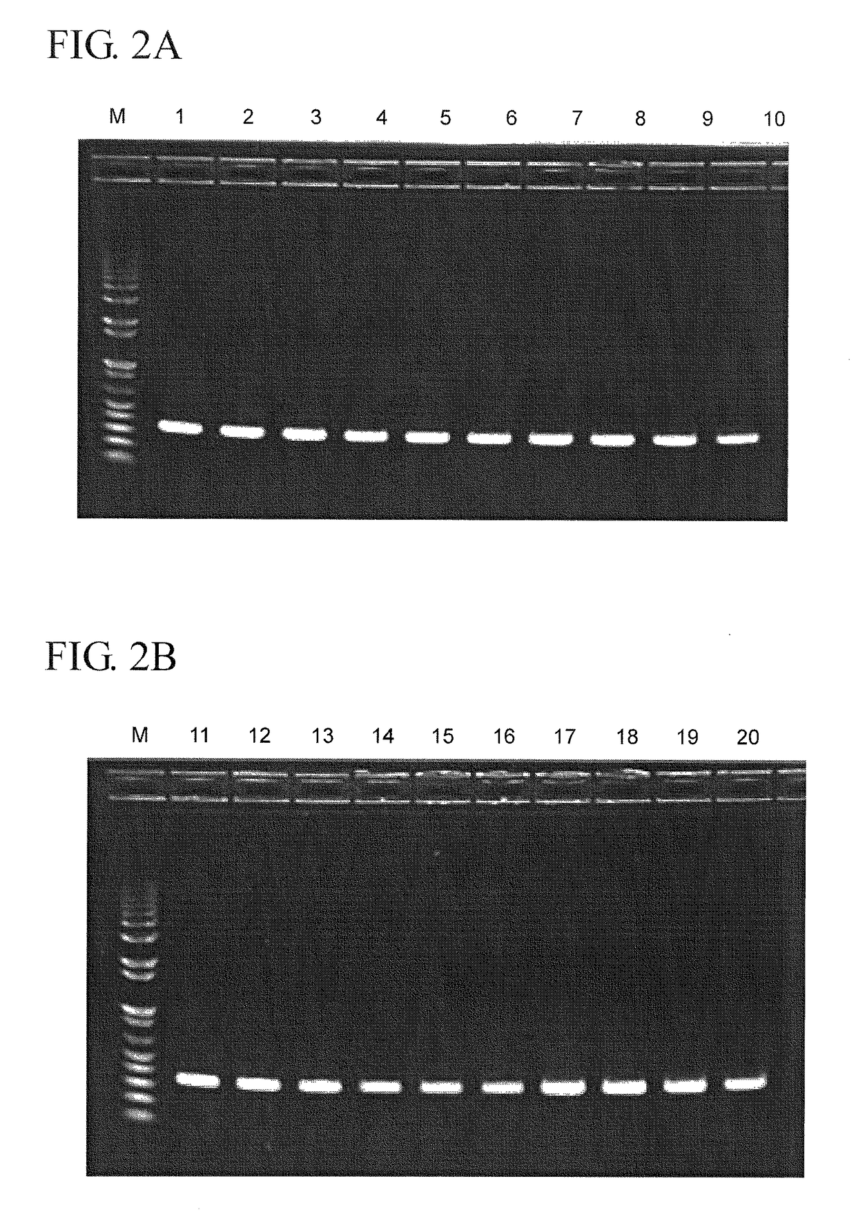 Method for linking point of care rapid diagnostic testing results to laboratory-based methods