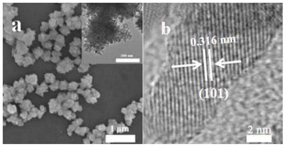 A kind of graphite phase nitrogen carbide/cadmium sulfide photocatalytic nanocomposite material with burr spherical structure and its preparation method and application