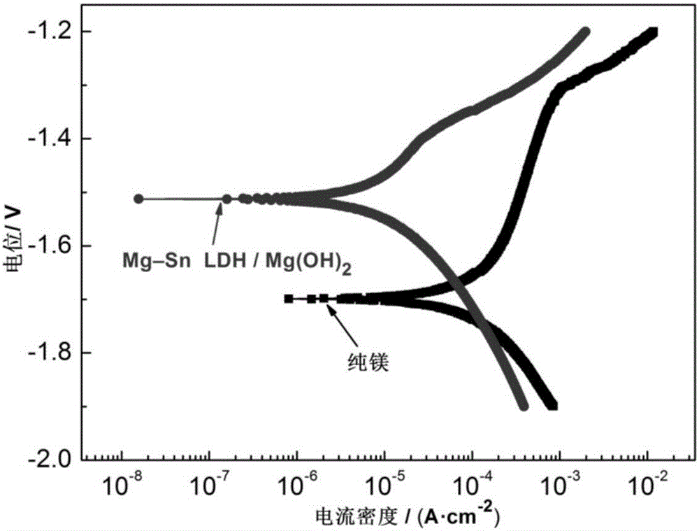 Mg(OH)2/Mg-Sn hydrotalcite composite film having intercalation structure on surface of magnesium and magnesium alloy and preparation method thereof