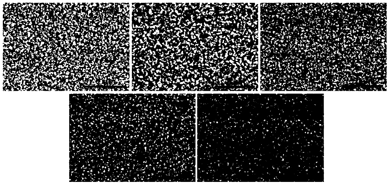 A kind of preparation method of perovskite film layer and perovskite light-emitting diode device