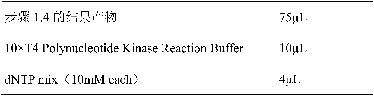 Method of establishing DNA large fragment library and applications thereof