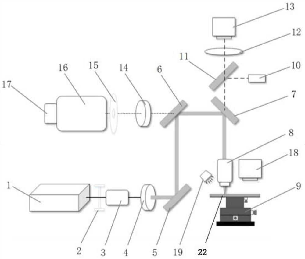 Automatic rapid detection instrument and detection method for Raman drug resistance of microorganisms