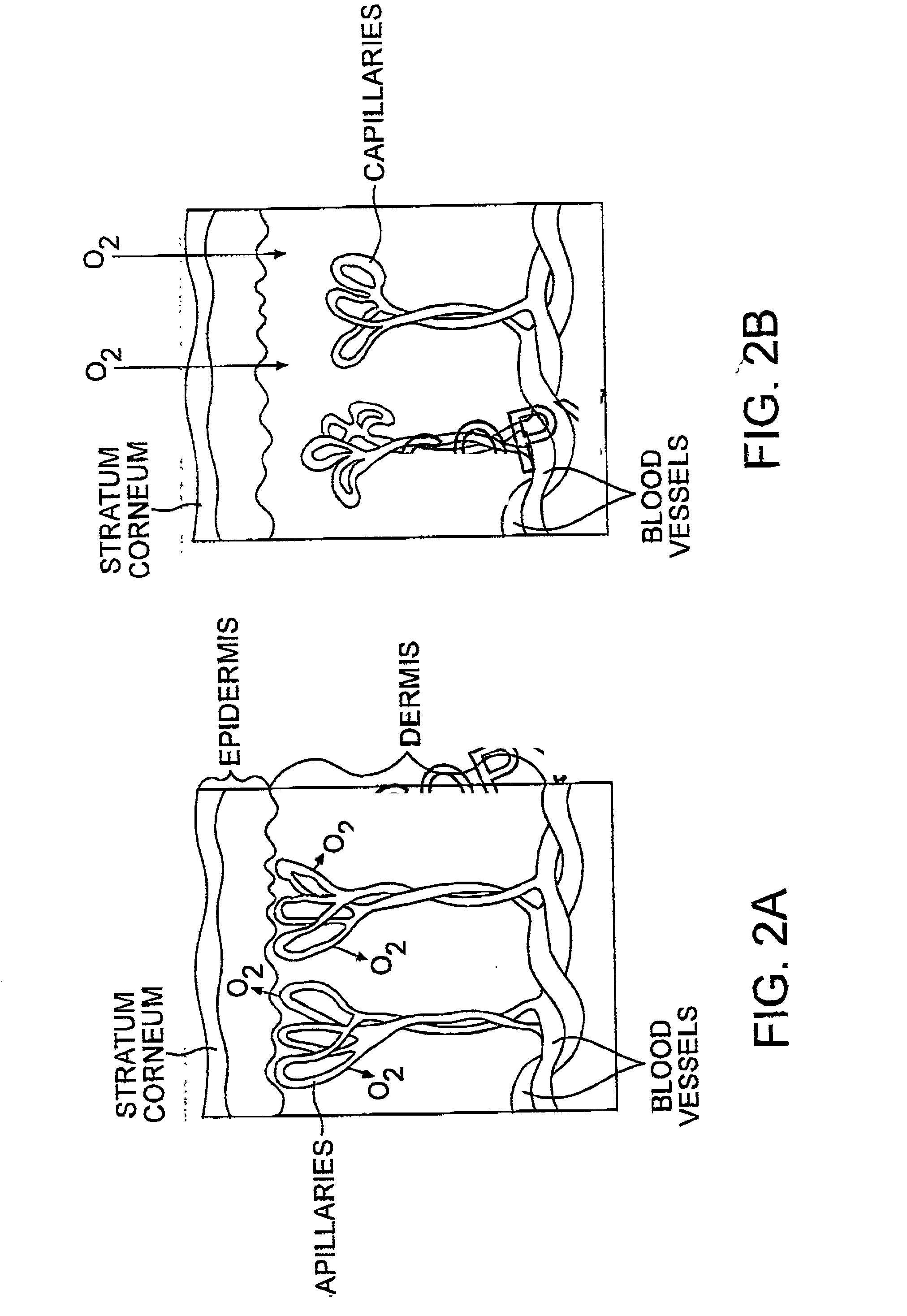 Compositions and method of tissue superoxygenation