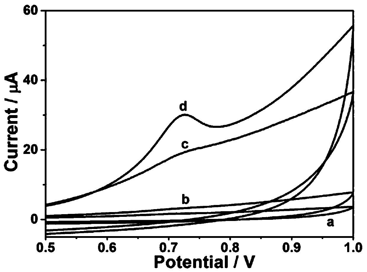 Method for detecting amaranth in food using porous graphene