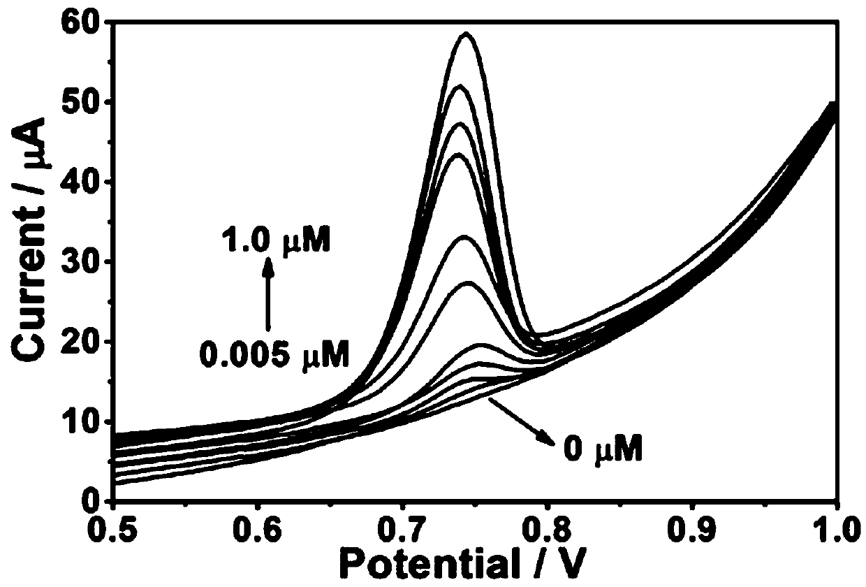 Method for detecting amaranth in food using porous graphene