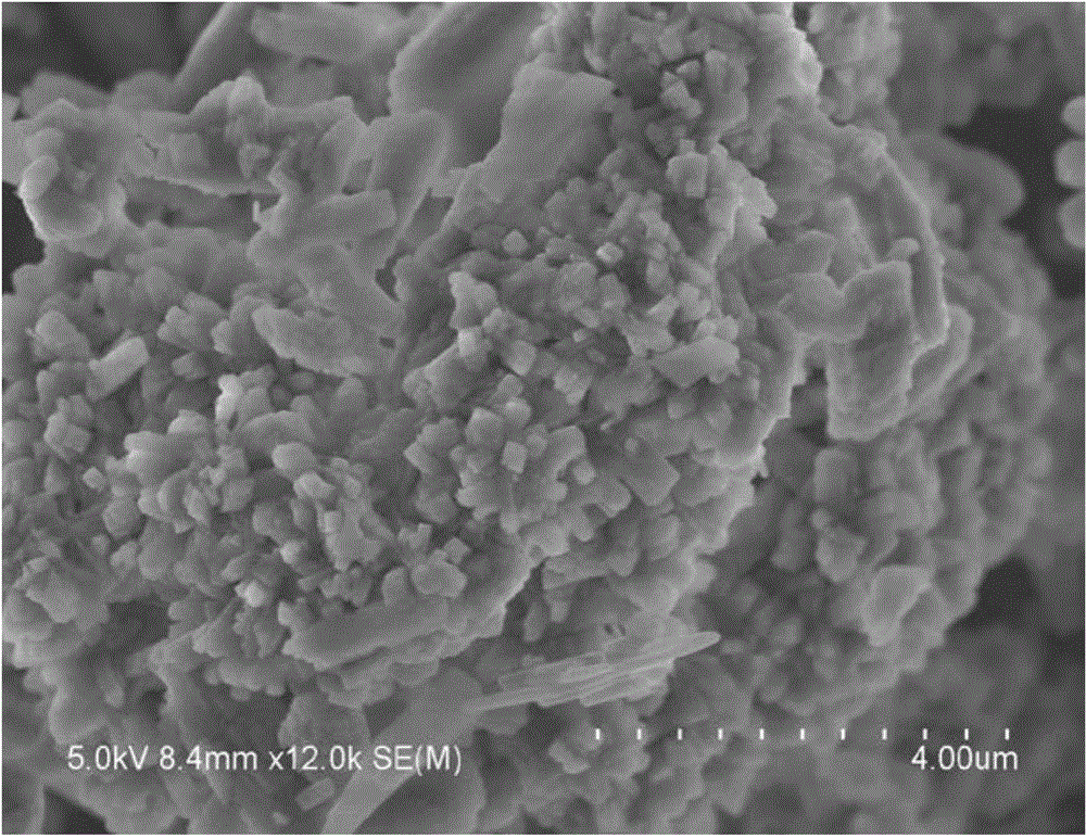 Preparation method for photocatalyst for treating nitrophenol wastewater and treatment method for nitrophenol wastewater