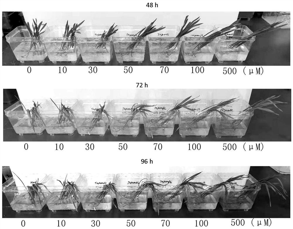 A kind of plant drought-resistance and yield-increasing agent