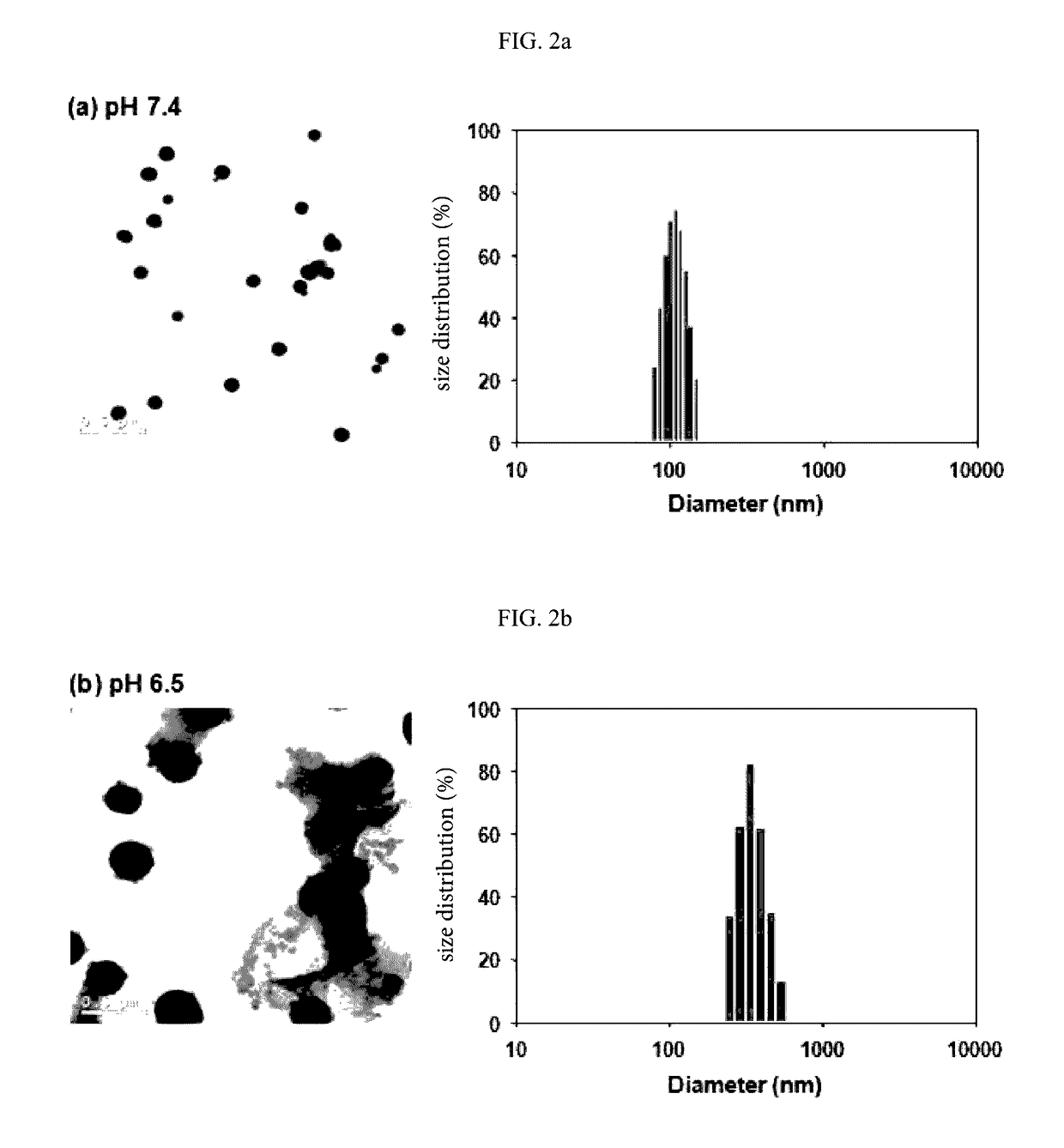 pH sensitive fluorescent polydiacetylene liposome and delivery vehicle comprising same