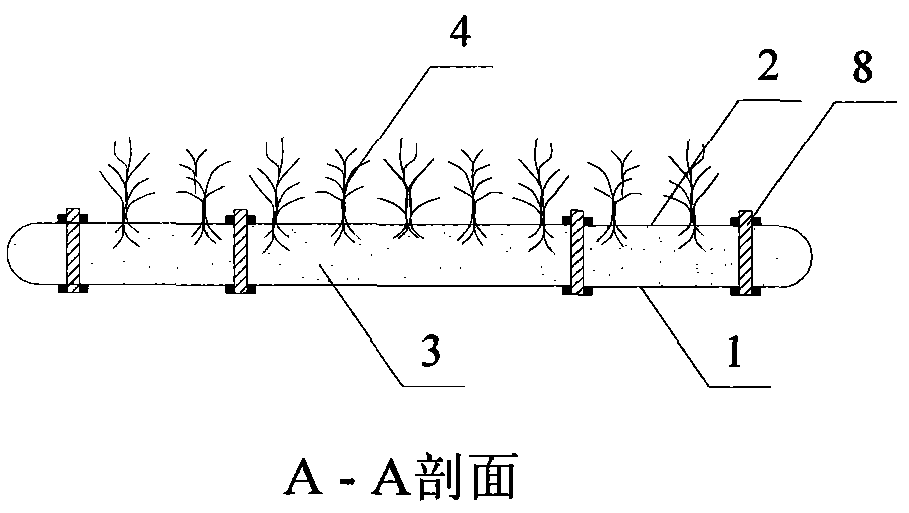 Method for jointly repairing submerged plants on underwater hard slope of river