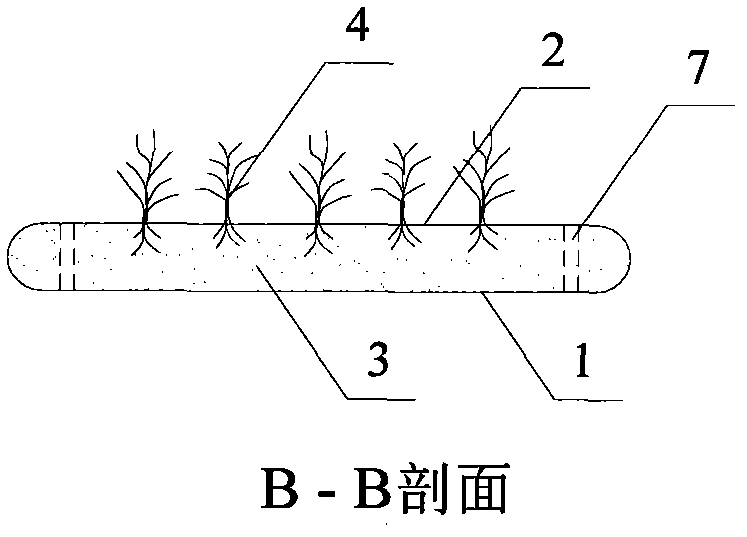 Method for jointly repairing submerged plants on underwater hard slope of river