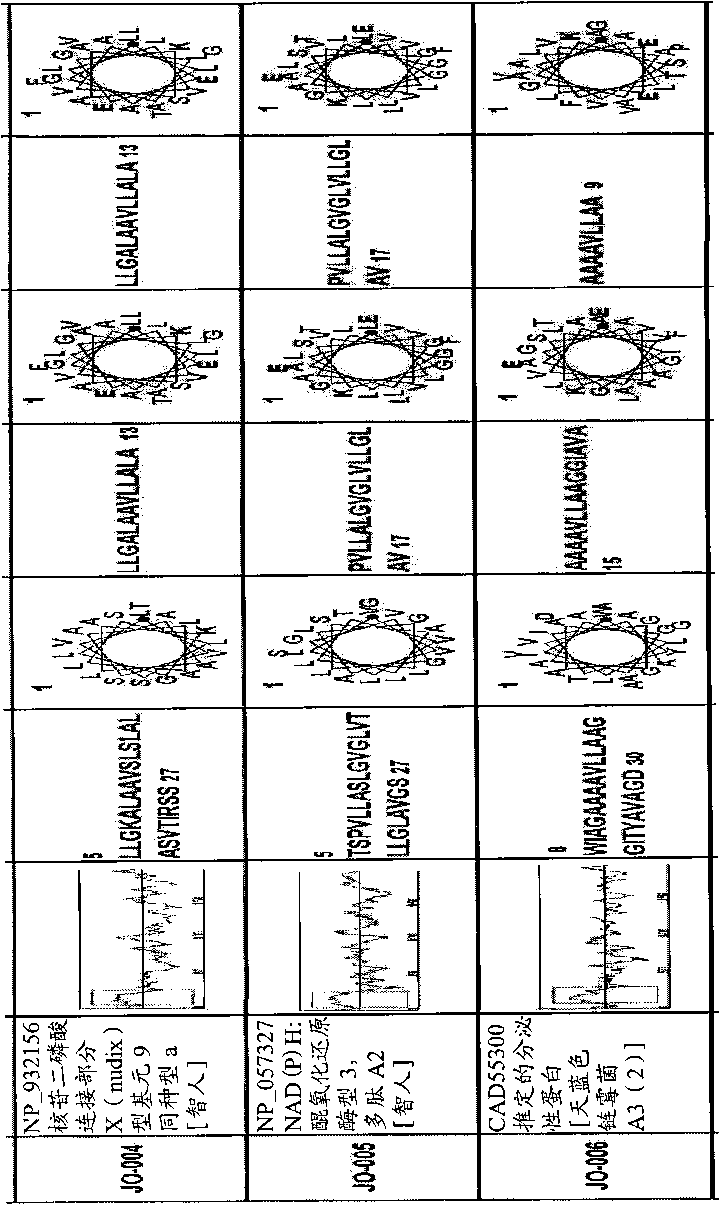 Novel macromolecule transduction domains and methods for identification and uses thereof