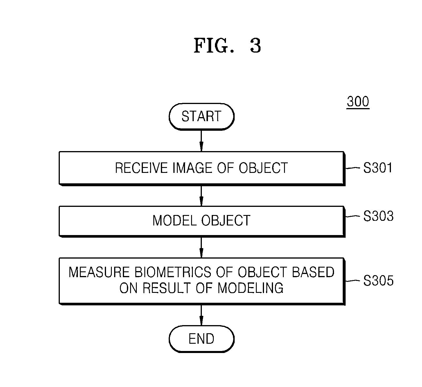 Method and apparatus for measuring biometrics of object