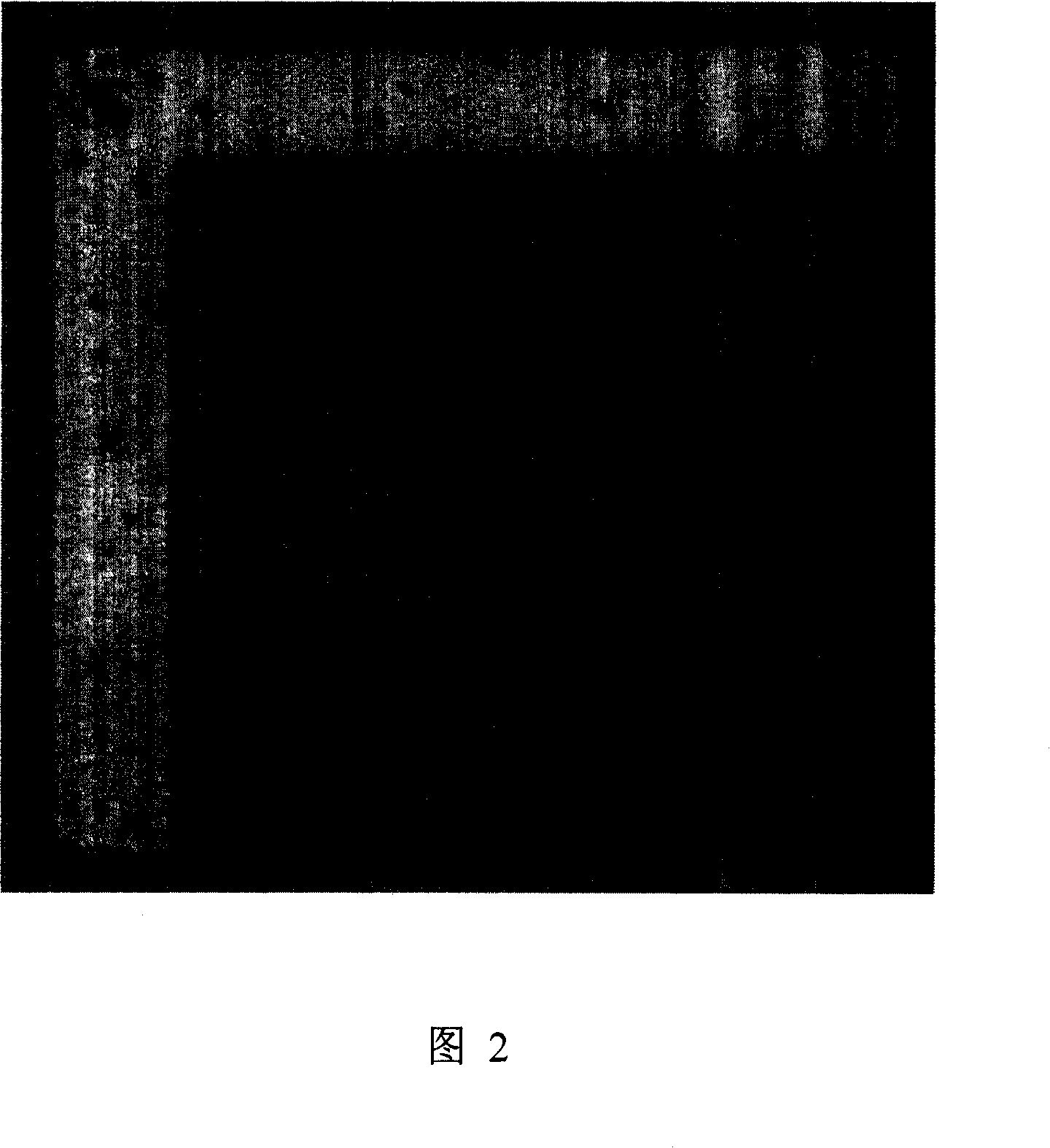 Electron beam alignment mark manufacture method and its uses