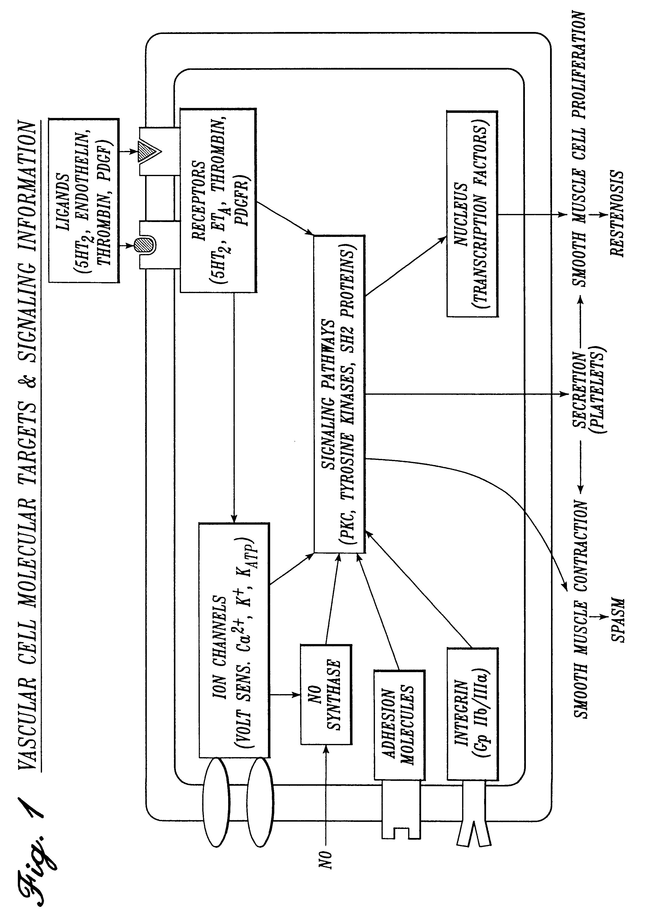 Irrigation solution and methods for inhibition of tumor cell adhesion, pain and inflammation