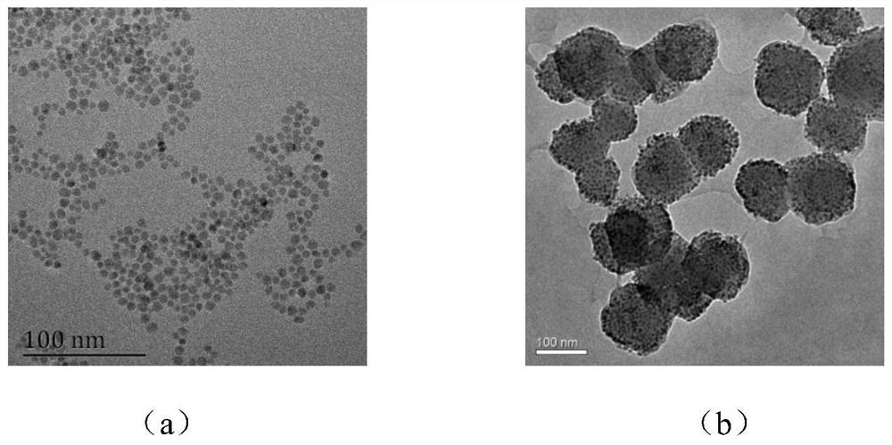 Zif-8 coated ferric oxide nanoparticle material and its preparation method and application