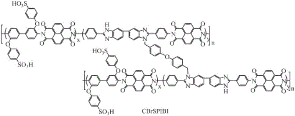 Phosphonic acid doped cross-linked sulfonated polyiminobenzimidazole high-temperature proton exchange membrane and preparation method thereof
