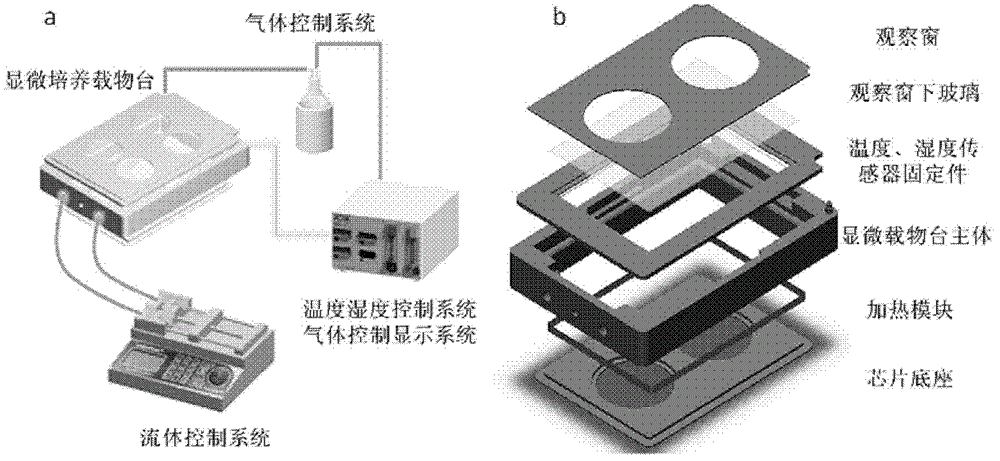 A fully integrated high-throughput cell-level microfluidic chip drug evaluation system