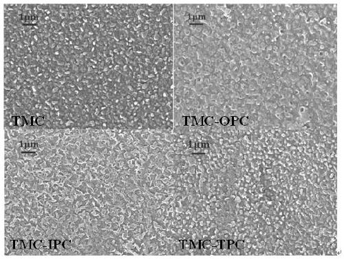 Linear-crosslinked multi-component copolymerized polyamide reverse osmosis membrane for sea water desalination and preparation method thereof