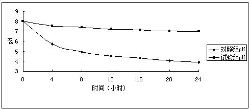 Bacillus licheniformis preparation and its application for on-site fermentation in aquaculture farms